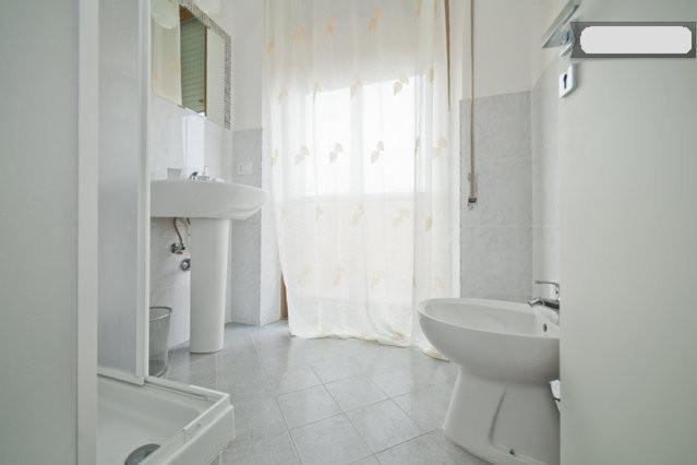 Habitación Doble Grande - 1 o 2 camas