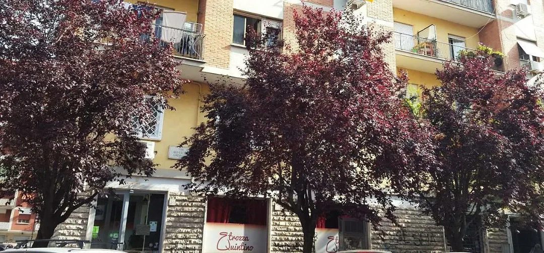 Vebis Guesthouse-1